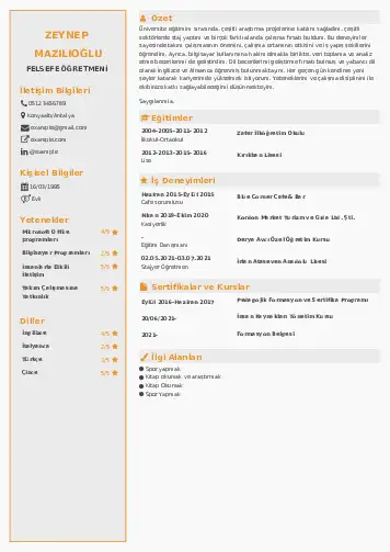 Felsefe Öğretmeni CV Örnekleri cv indir